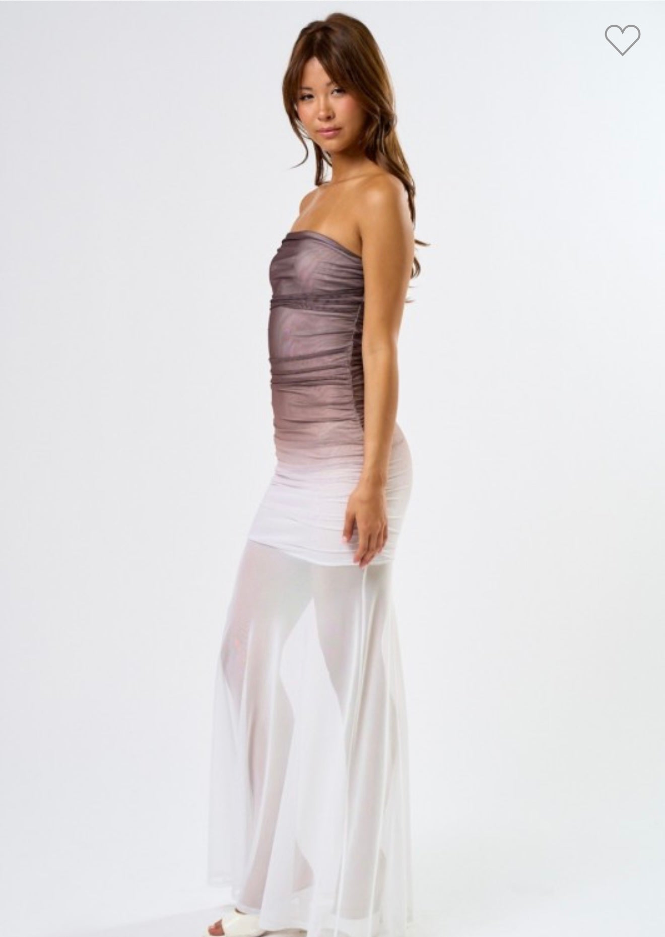 Ombre Mesh Dress