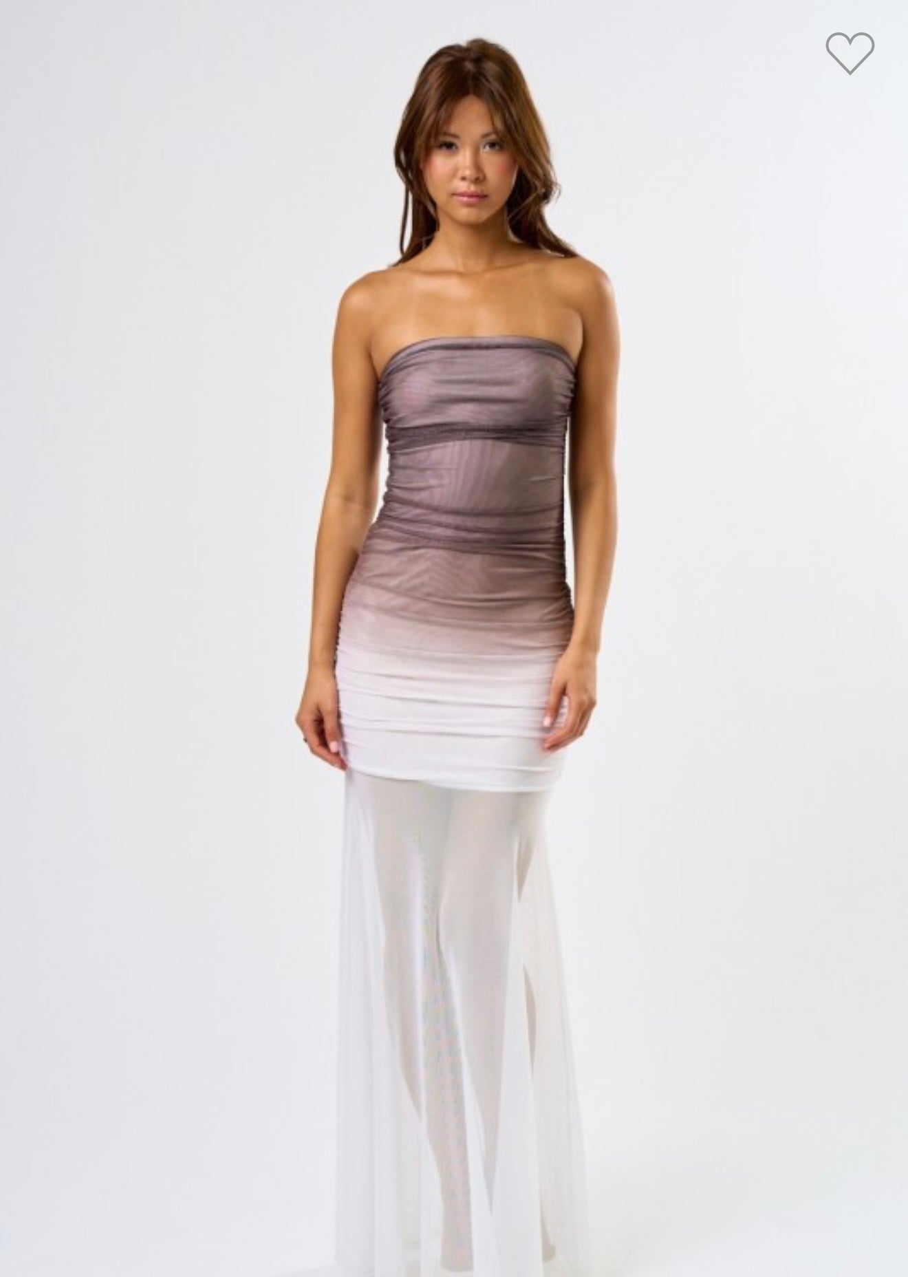 Ombre Mesh Dress