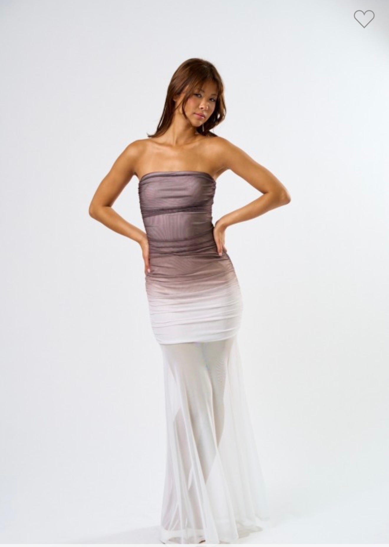Ombre Mesh Dress