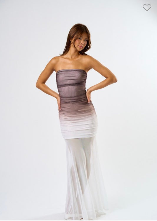 Ombre Mesh Dress